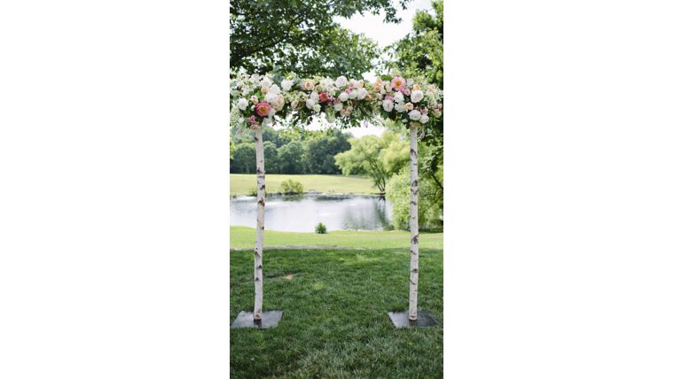 Birch Wedding Arch