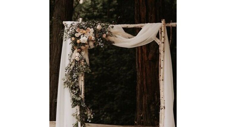 Birch Wedding Arch