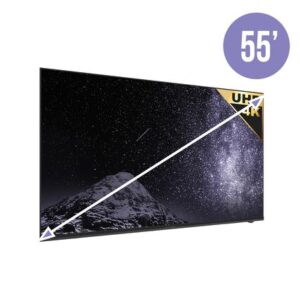 55" Monitor TV