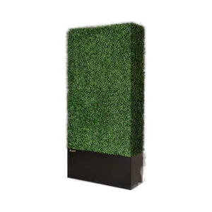 Boxwood Hedgewall - 79"x38"